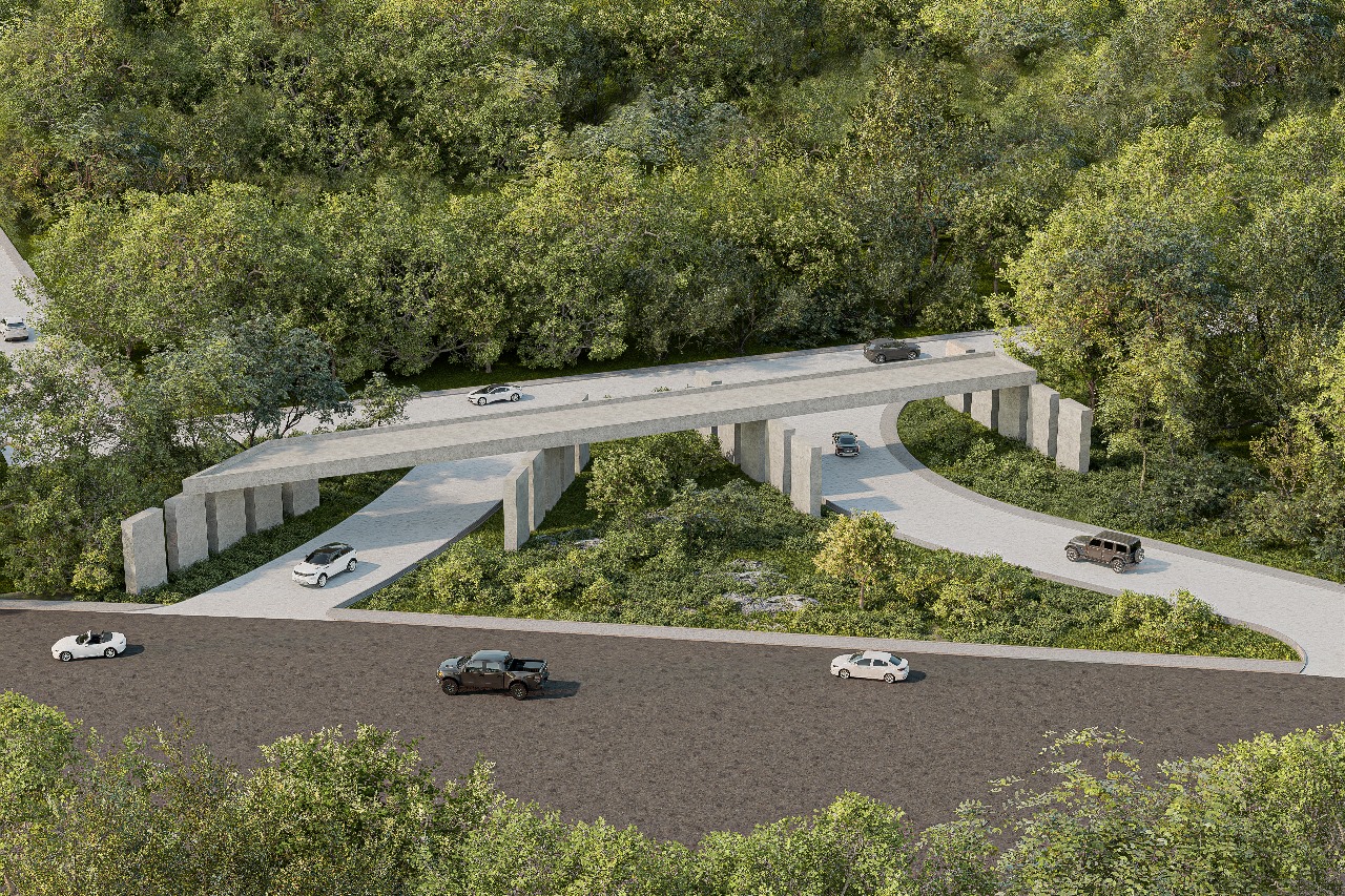 WhatsApp Image 2025-01-03 at 1.42.56 PM