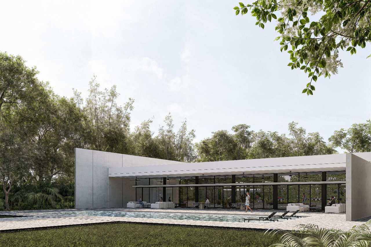 WhatsApp Image 2025-01-03 at 1.42.57 PM (4)